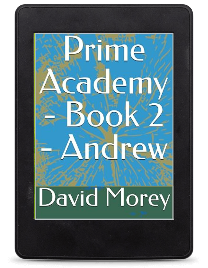Image of the book "Prime Academy - Book 2 - Andrew" by David Morey on a kindle e-reader.